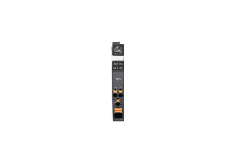 DF1100 - Fuse/Standard/24VDC/Module