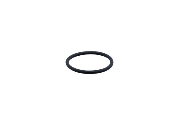 E30123 - efector500-FKM VITON O-RING
