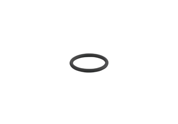 E30437 - O-RG 26,00X 3,00/FKM/75/SW