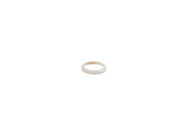 E30459 Gasket PEEK SEAL