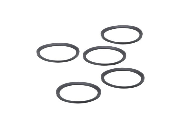 E30497 Gasket SEAL RING FKM G1