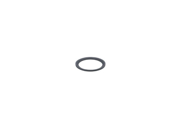 E30513 Gasket SEAL RING FFKM G1/2