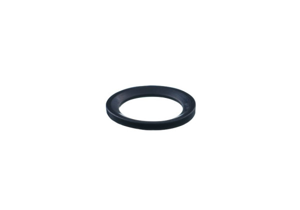 E30520 Gasket SEAL RING FFKM G1/4