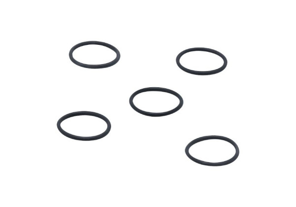 E43326 - efector160-O-RG 18,72x2,62/FKM 5 PIECES