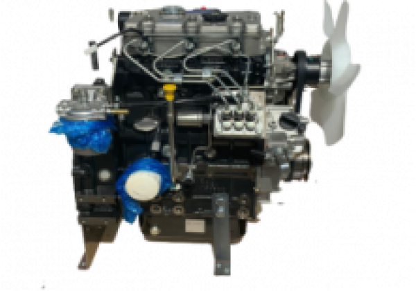 N843L N843L