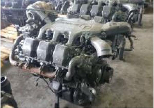 OM501 OM501