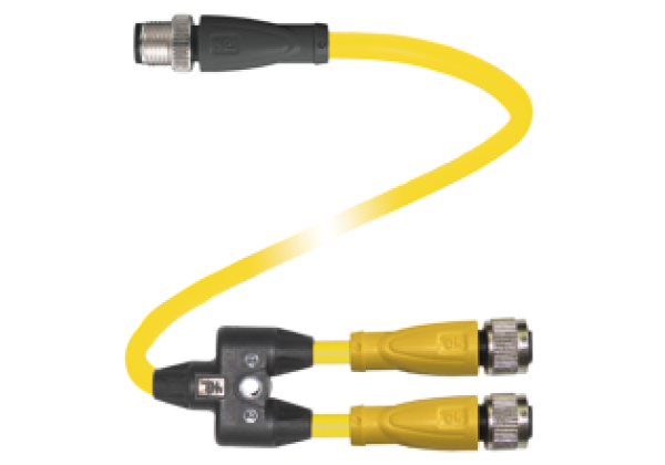 Y connection cable V15-G-S-10M-T-03M-PUR-A-V1-C1