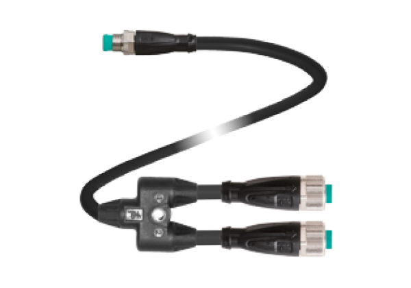 Y connection cable V11-G-0,3M-PUR-U-T-0,3M-V31-GM