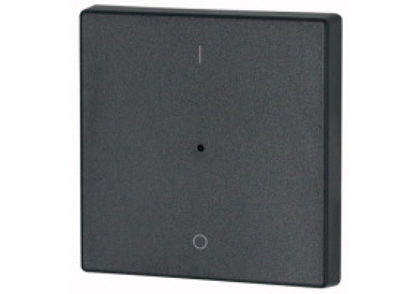 147604 - CWIZ-01/14-LED - Rocker, 1-way, +lens, I/0, Anthracite