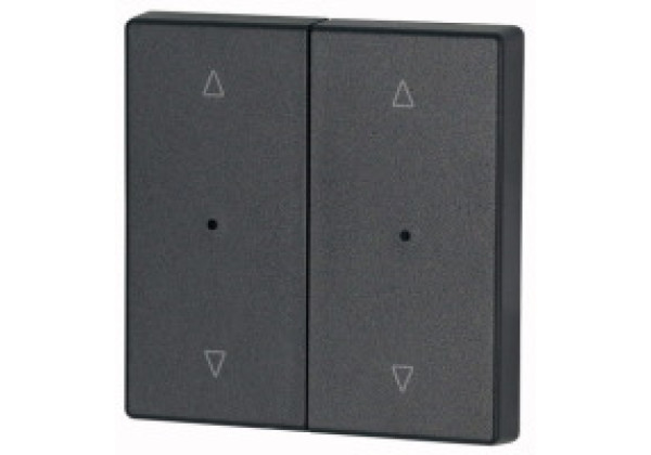 147632 - CWIZ-02/24-LED - Rocker, 2-way, +lens, Anthracite, blind