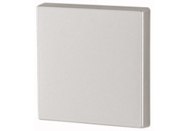 173000 - CWIZ-01/43 - Rocker, 1-way, Silver, gloss, 1/0