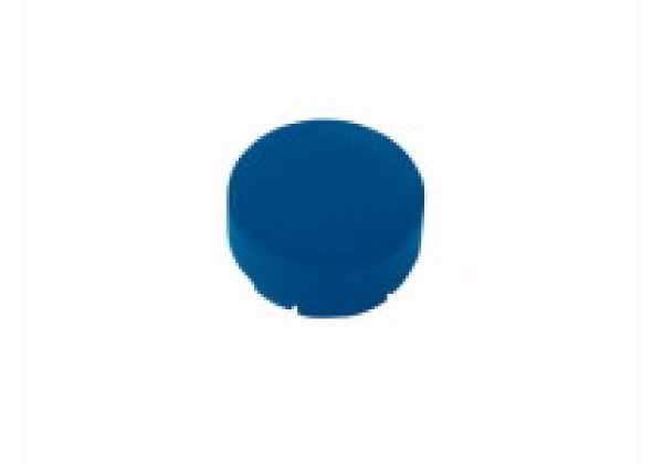 216451 - M22-XDLH-B - Button lens, raised blue, blank