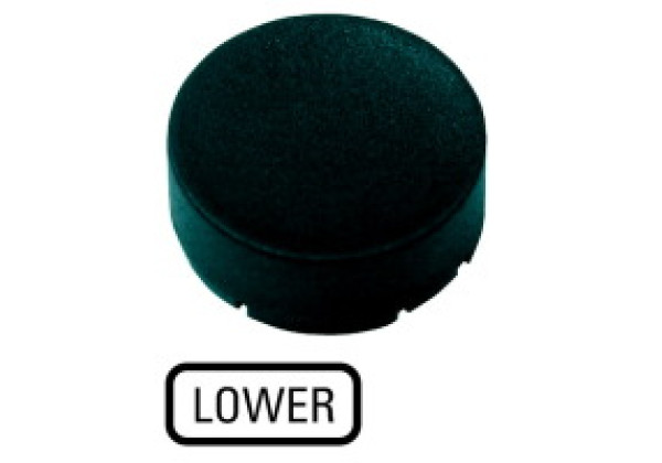 218253 - M22-XDH-S-GB18 - Button plate, raised black, LOWER