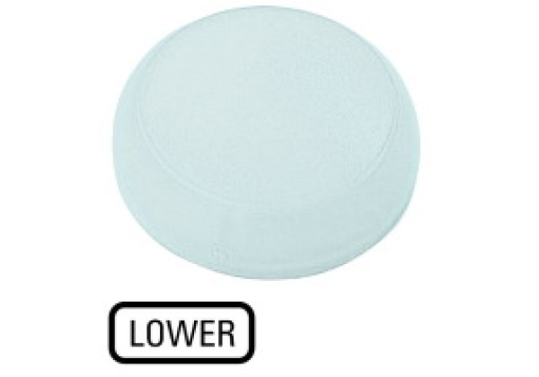 218425 - M22-XL-W-GB18 - Lens, indicator light white, flush, LOWER