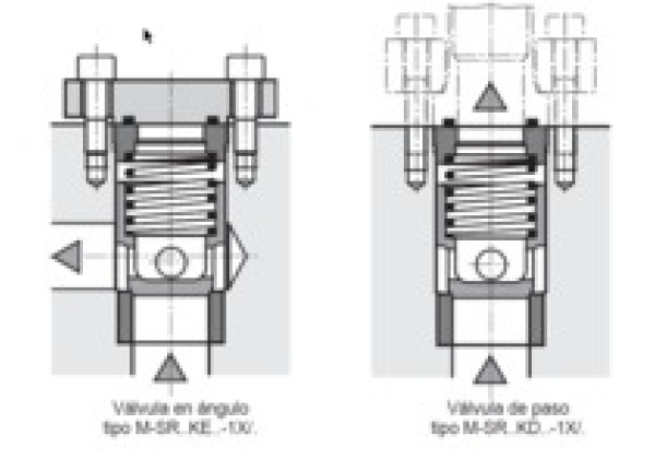 R900306458 Rückschlagventil M-SR 62 KE00-1X/V